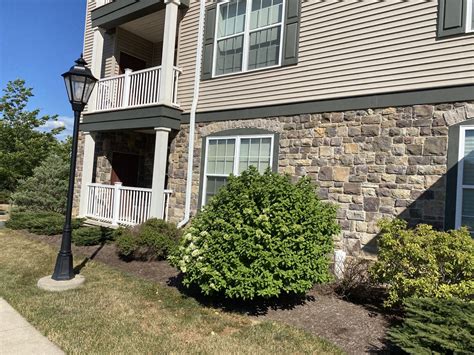 See all available apartments for rent at Teaberry Ridge Apartments in State College, PA. . Houses for rent state college